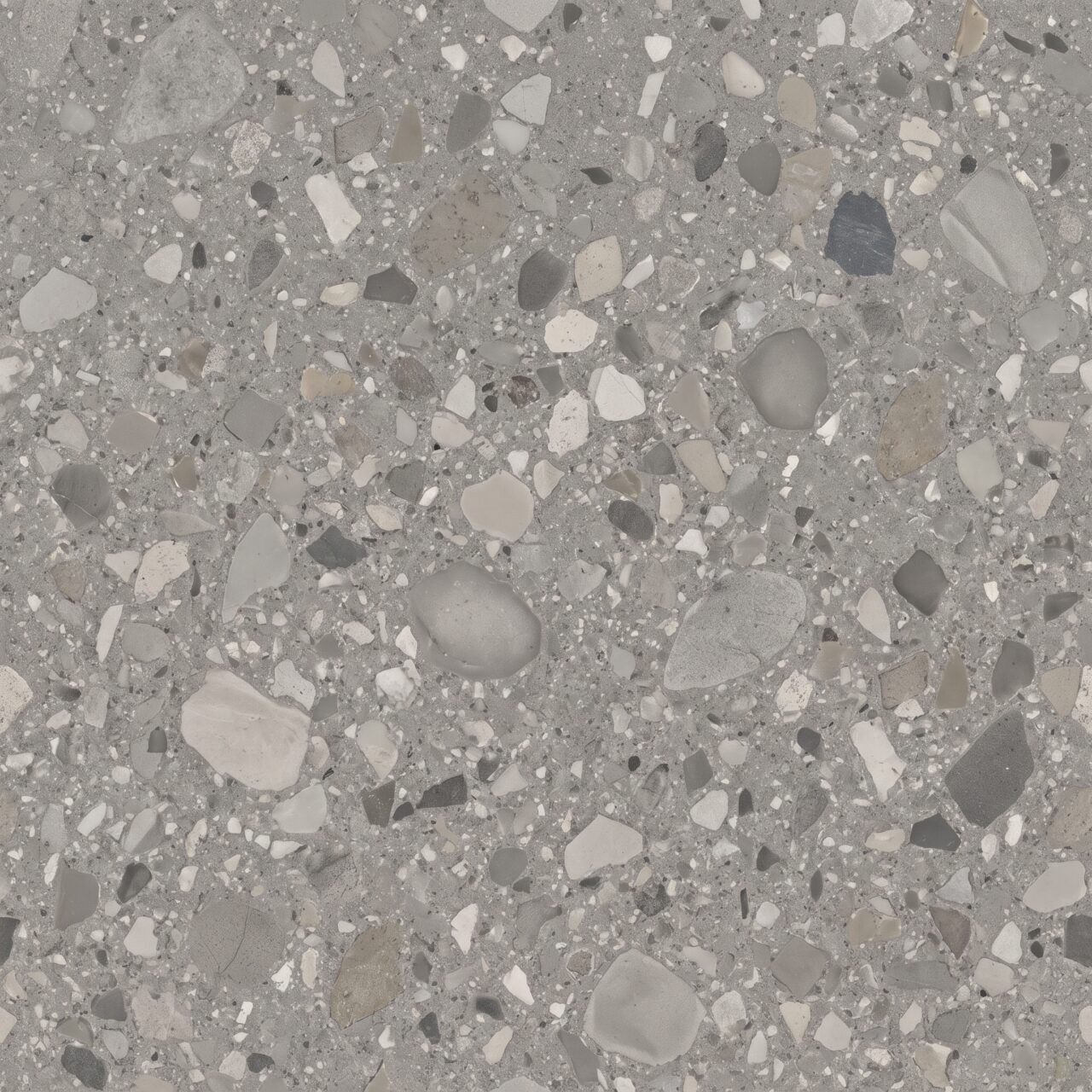Grey Terrazzo Stone Texture 010