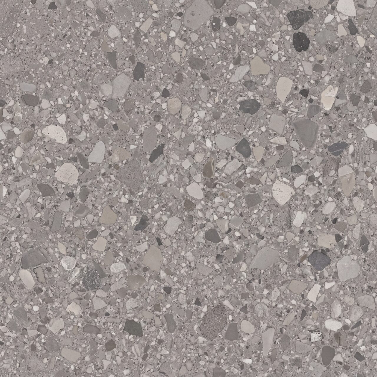 Grey Terrazzo Stone Texture 011
