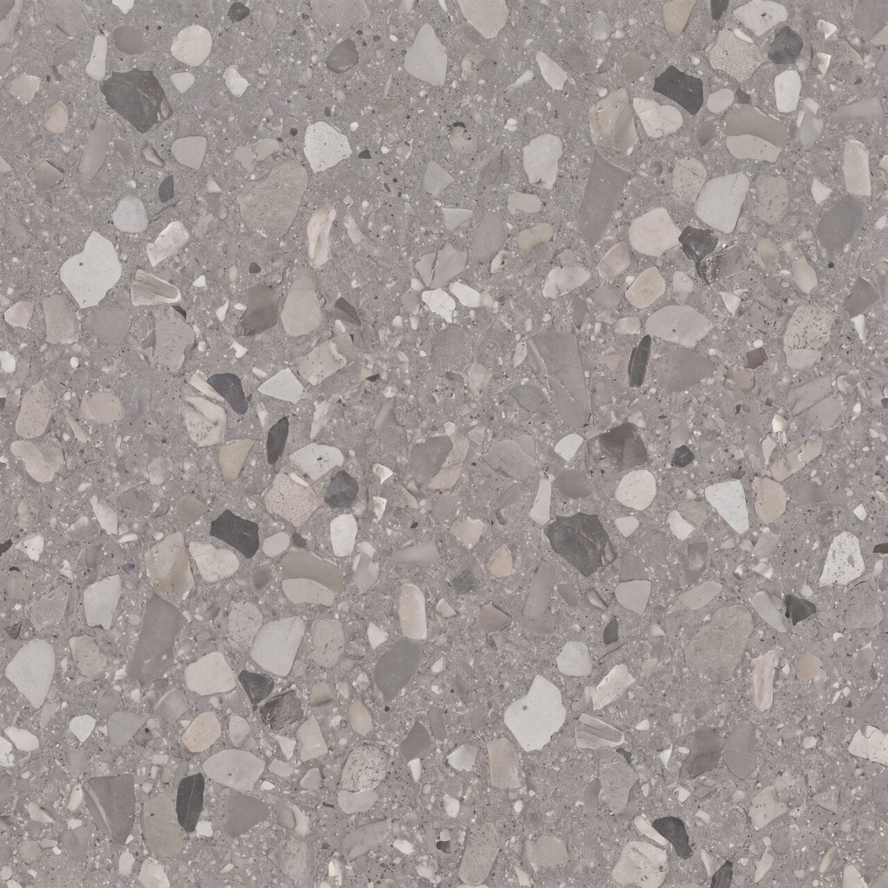 Grey Terrazzo Stone Texture 015