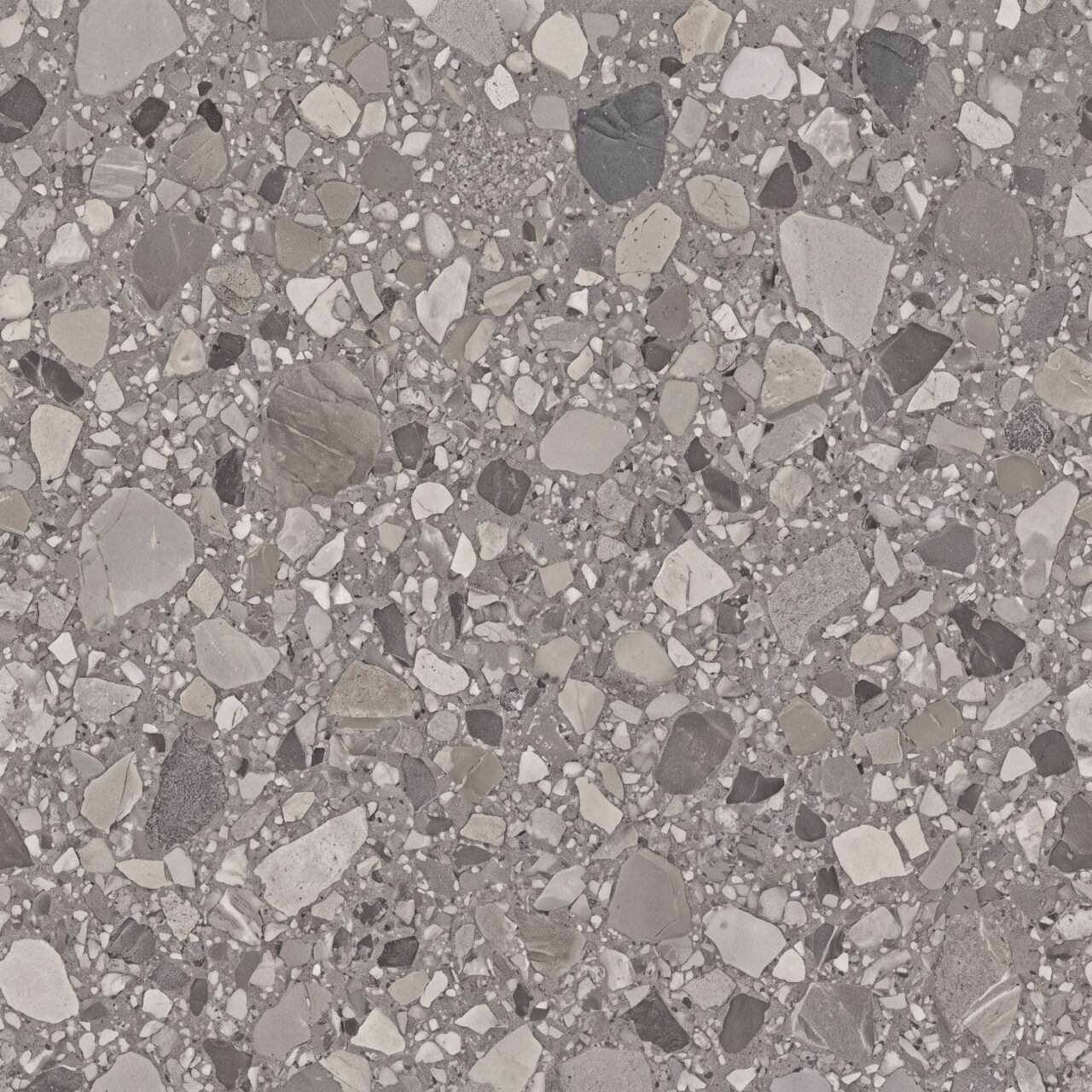 Grey Terrazzo Stone Texture 017