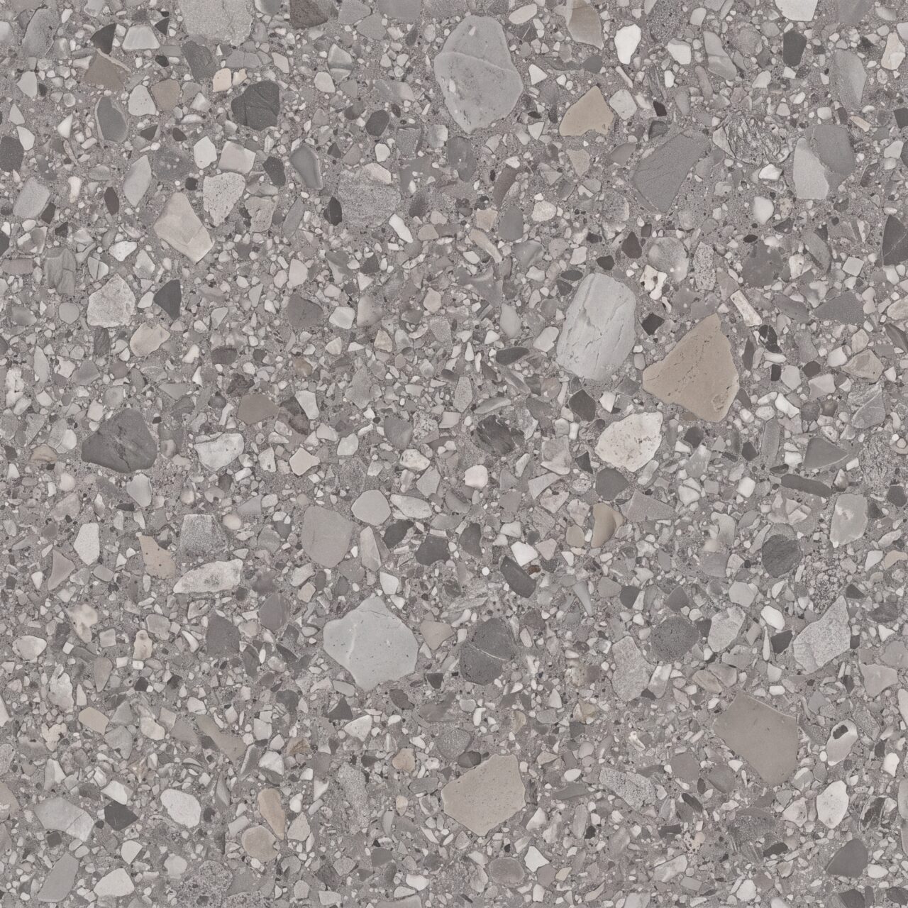 Grey Terrazzo Stone Texture 018