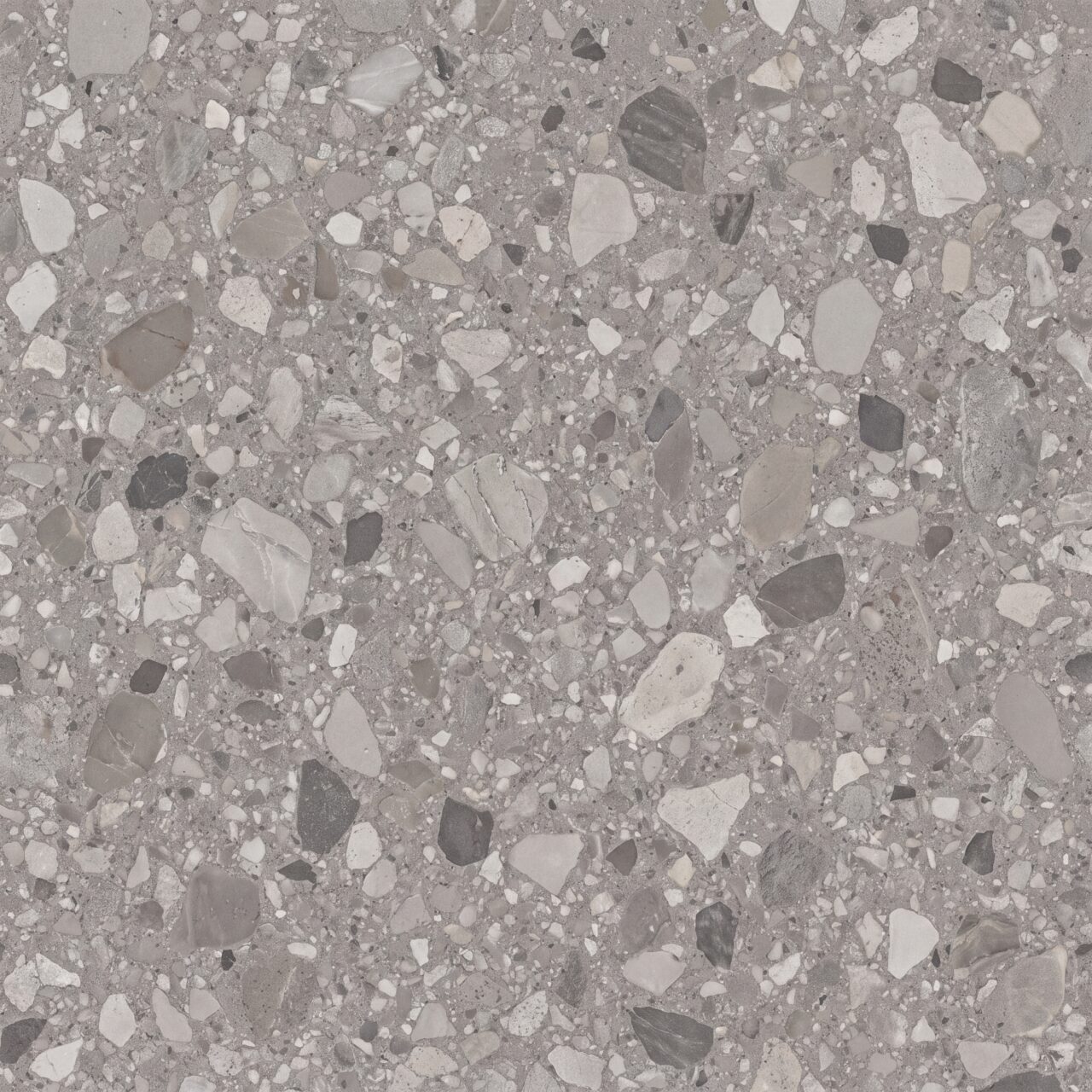 Grey Terrazzo Stone Texture 019