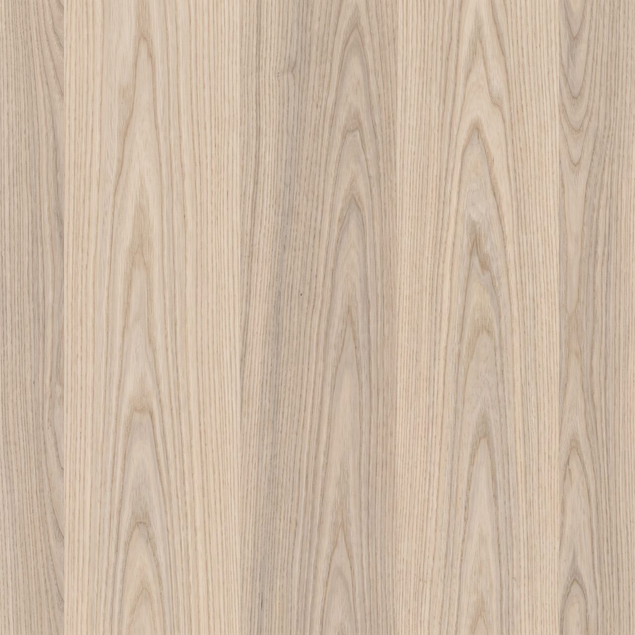 Light Ash Wood Texture 003