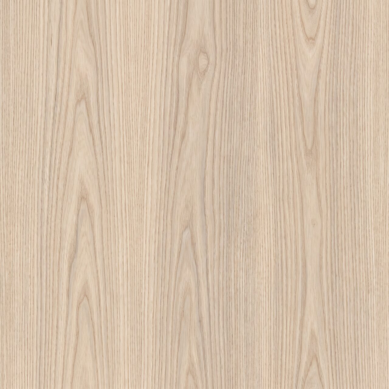 Light Ash Wood Texture 004