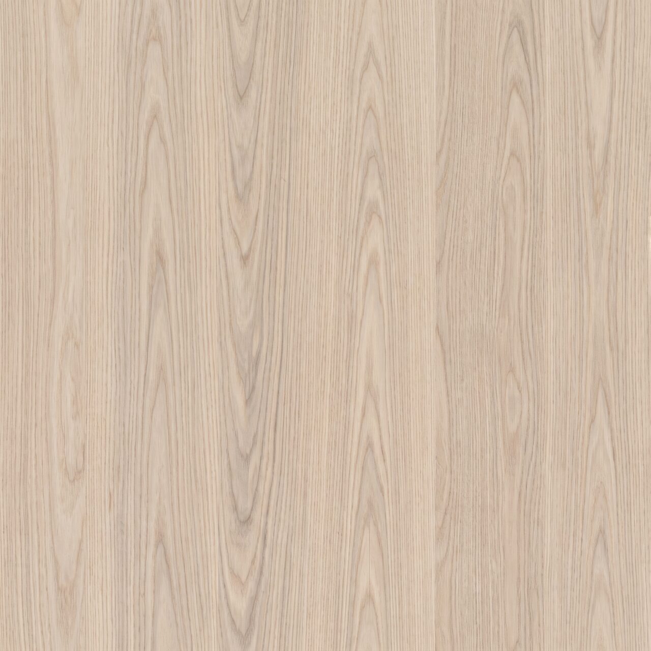 Light Ash Wood Texture 005