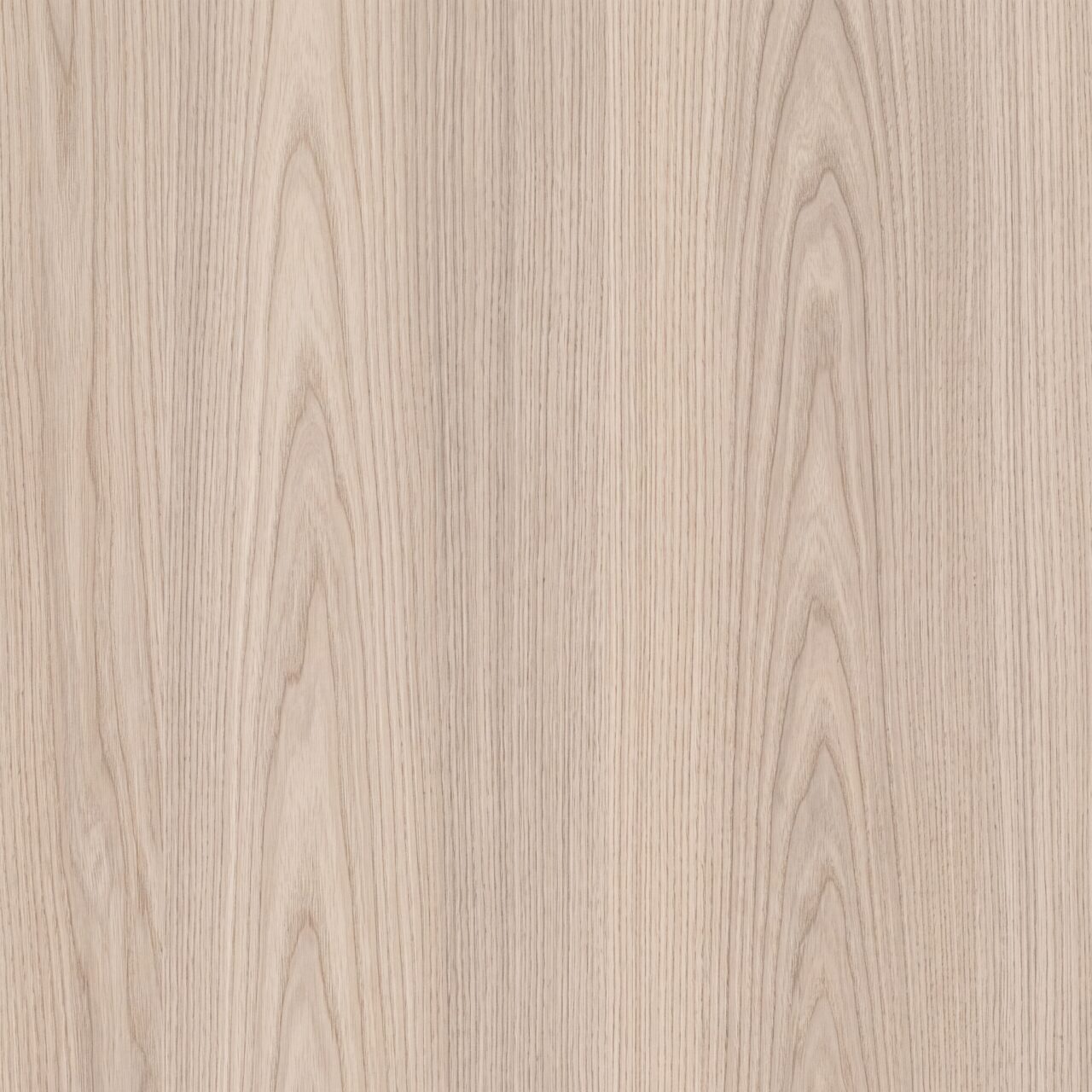 Light Ash Wood Texture 007