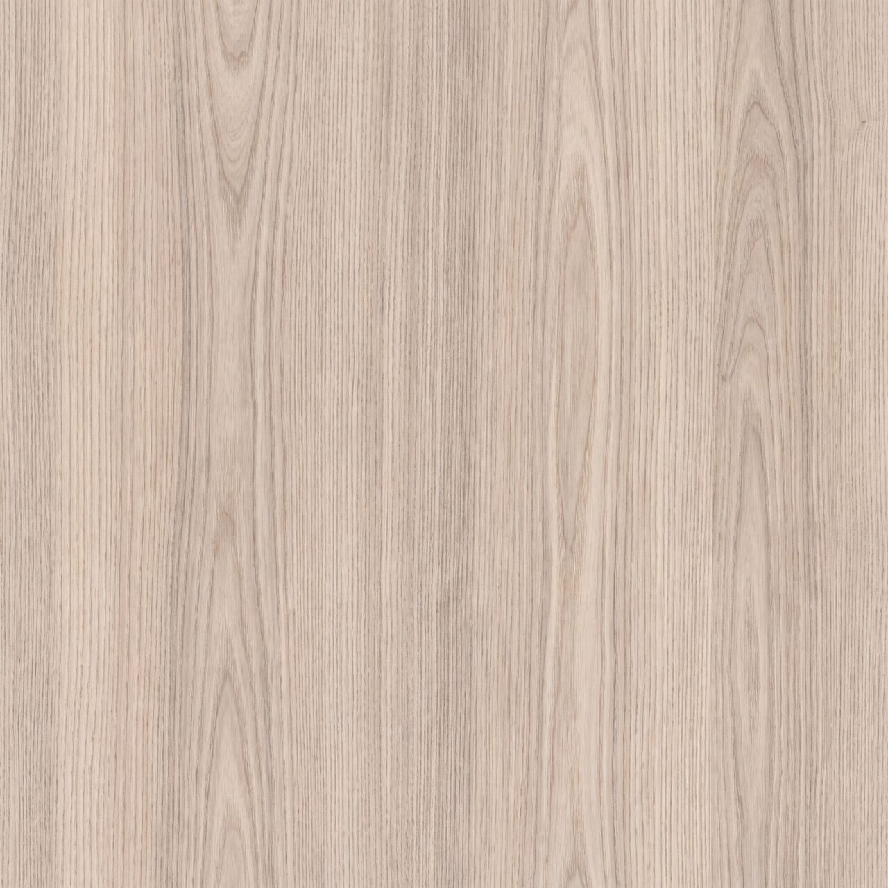 Light Ash Wood Texture 008