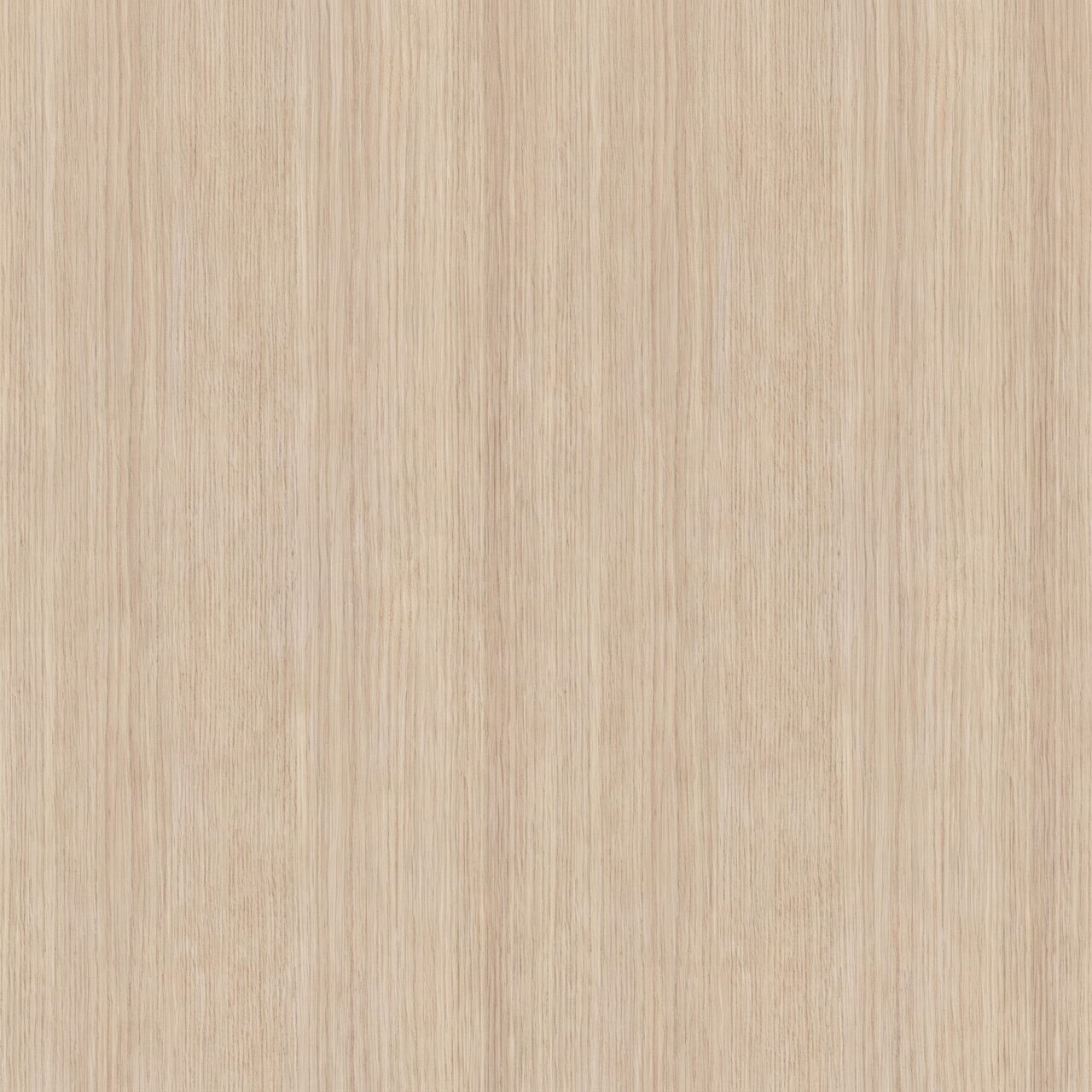 Light Beige Oak Wood Texture 001