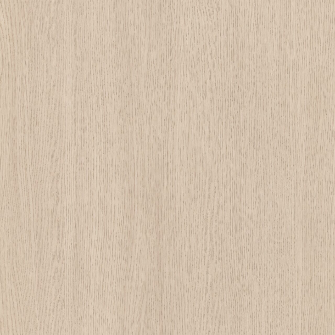 Light Beige Oak Wood Texture 002