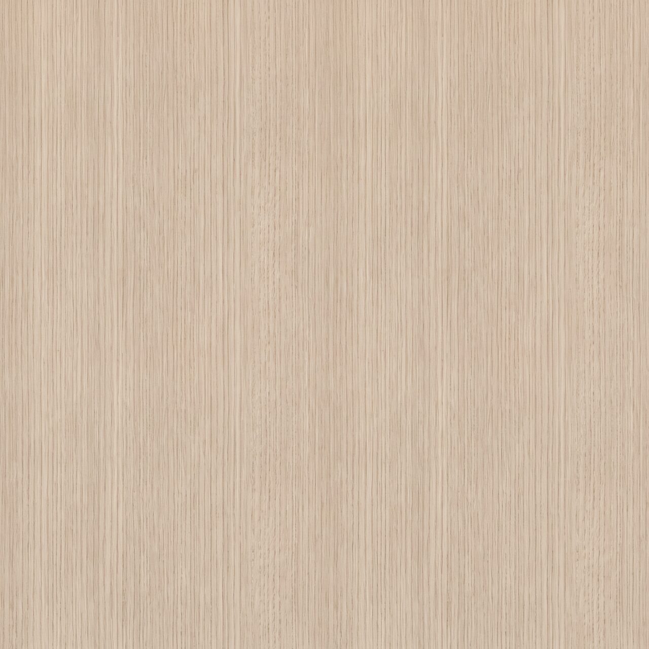 Light Beige Oak Wood Texture 004