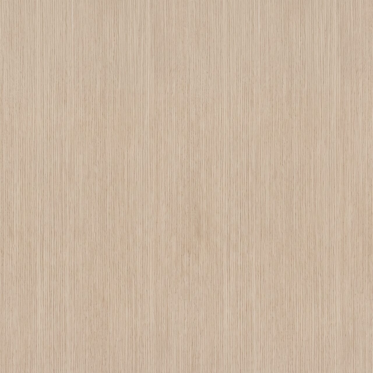 Light Beige Oak Wood Texture 005