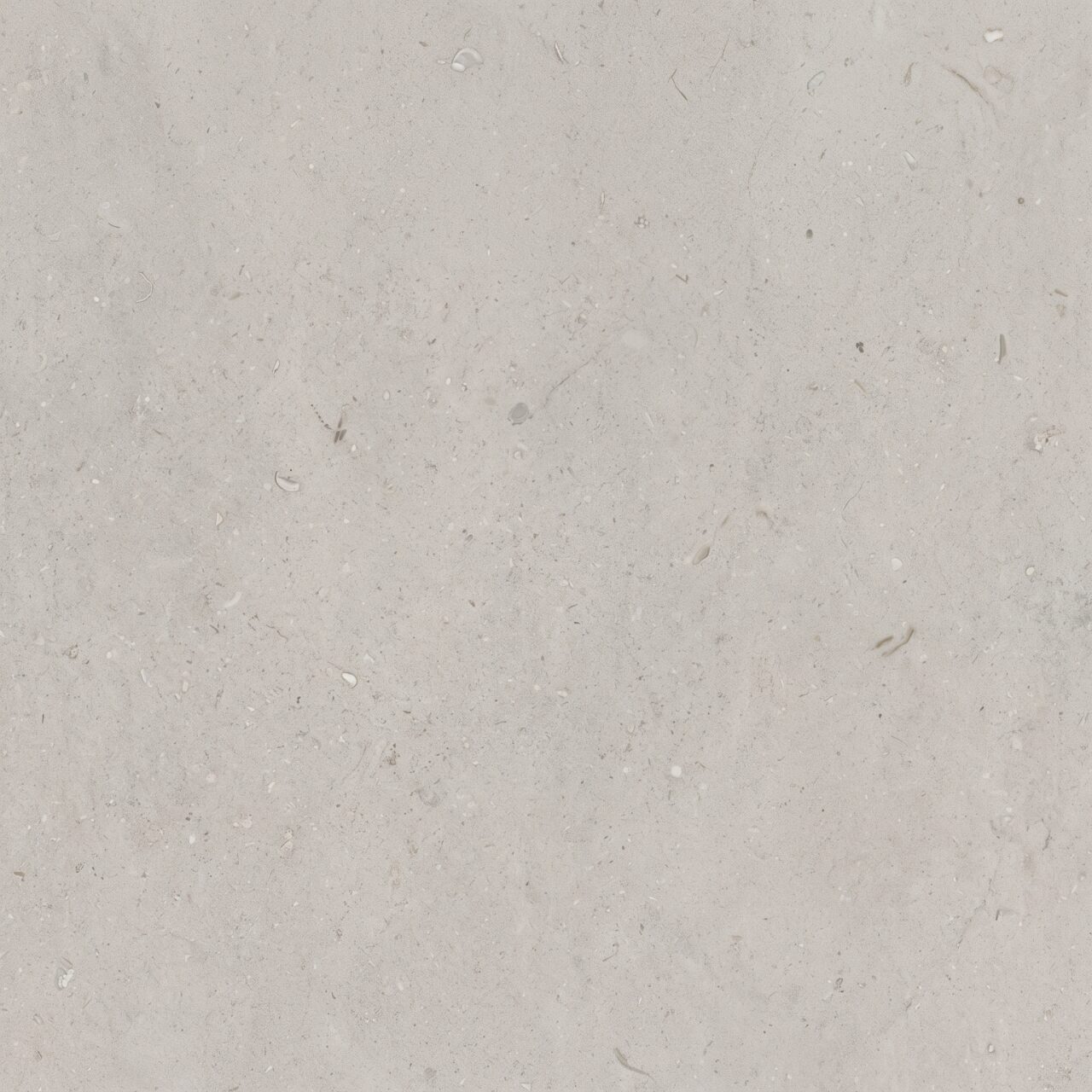 Light Grey Limestone Texture 003