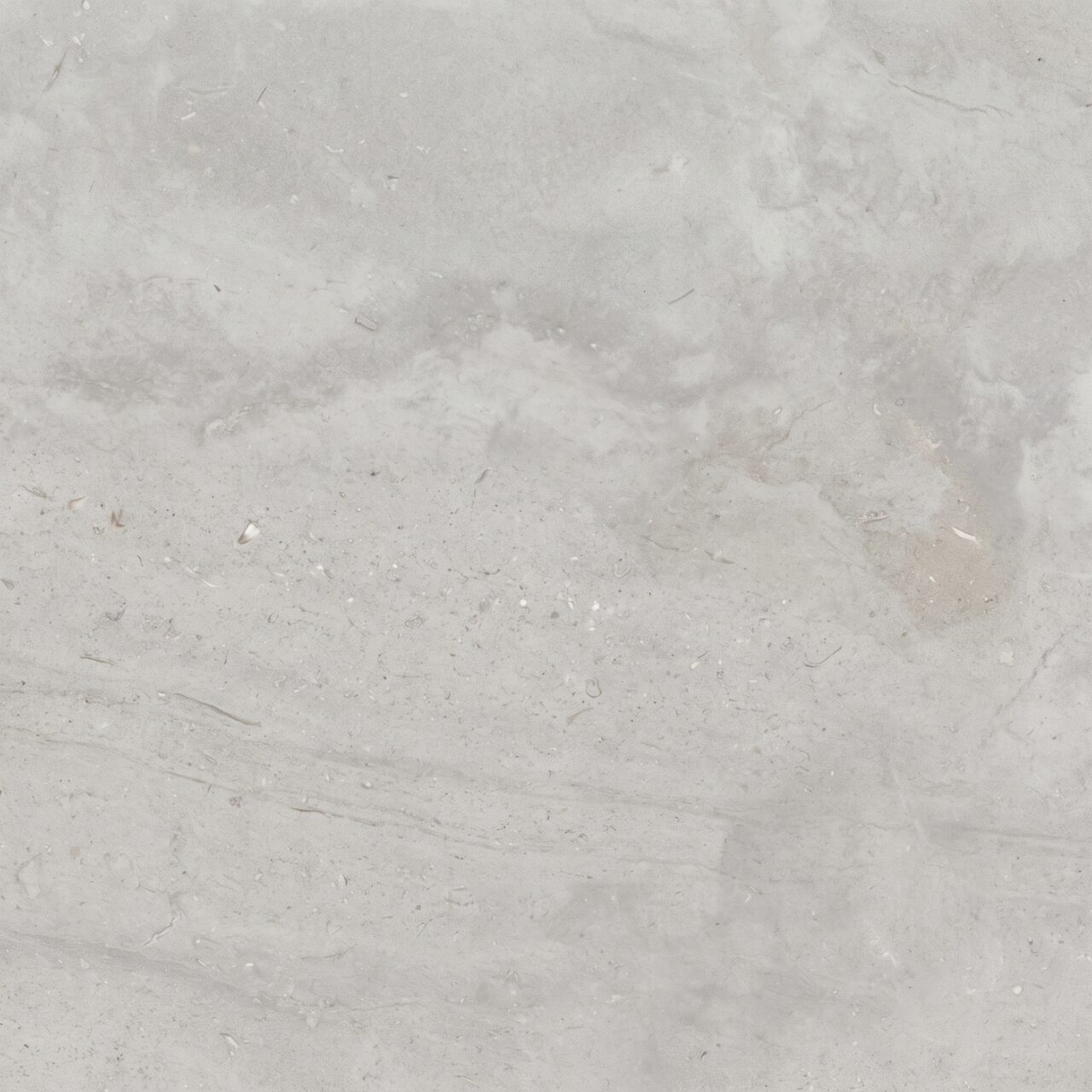 Light Grey Limestone Texture 006