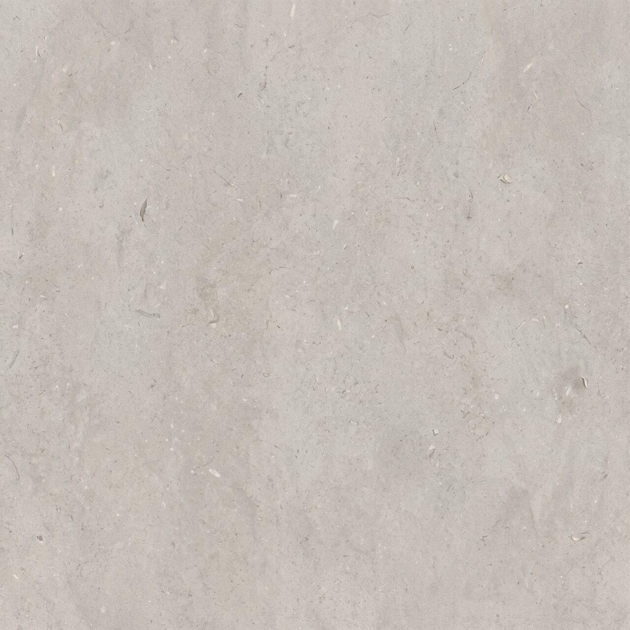 Light Grey Limestone Texture 008