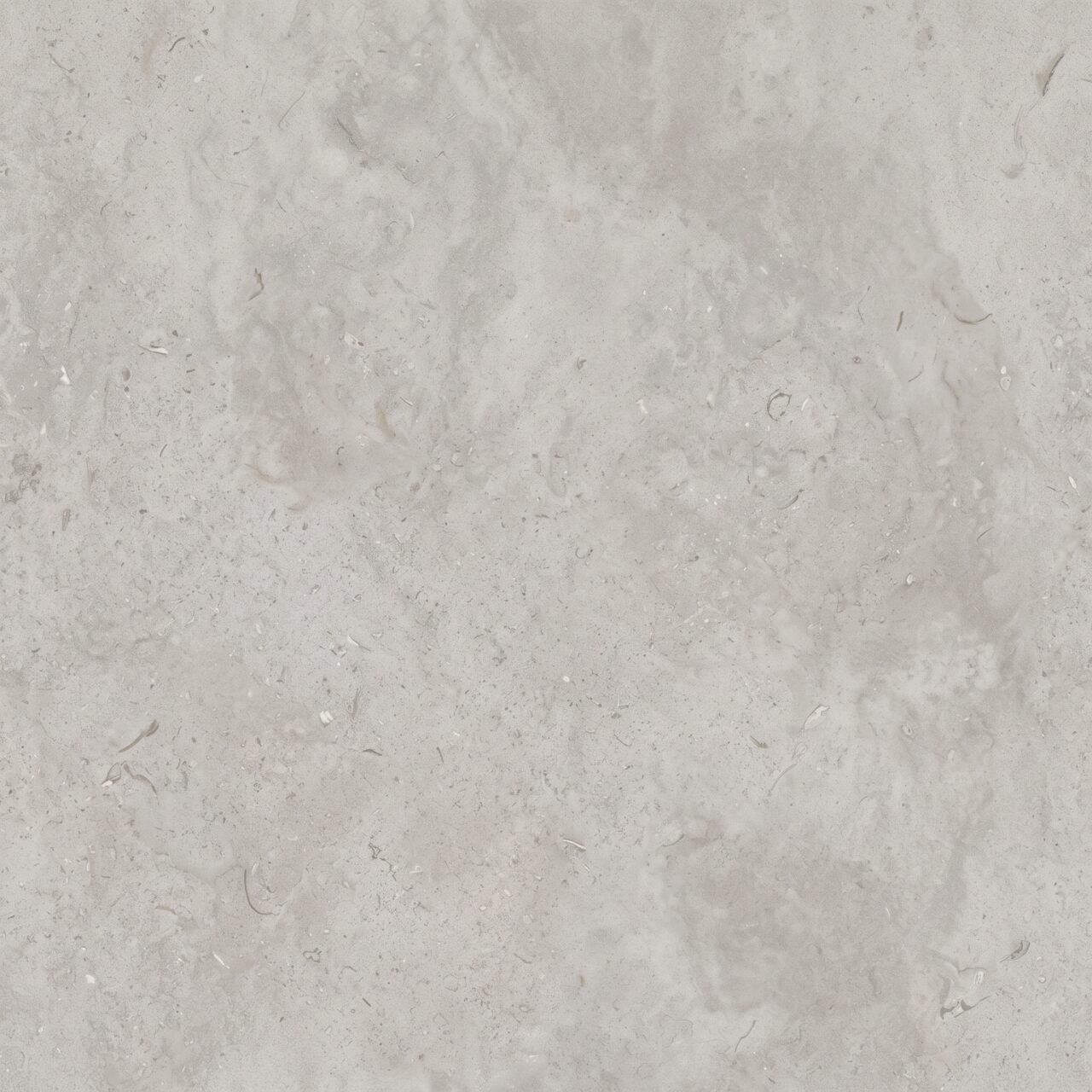 Light Grey Limestone Texture 009