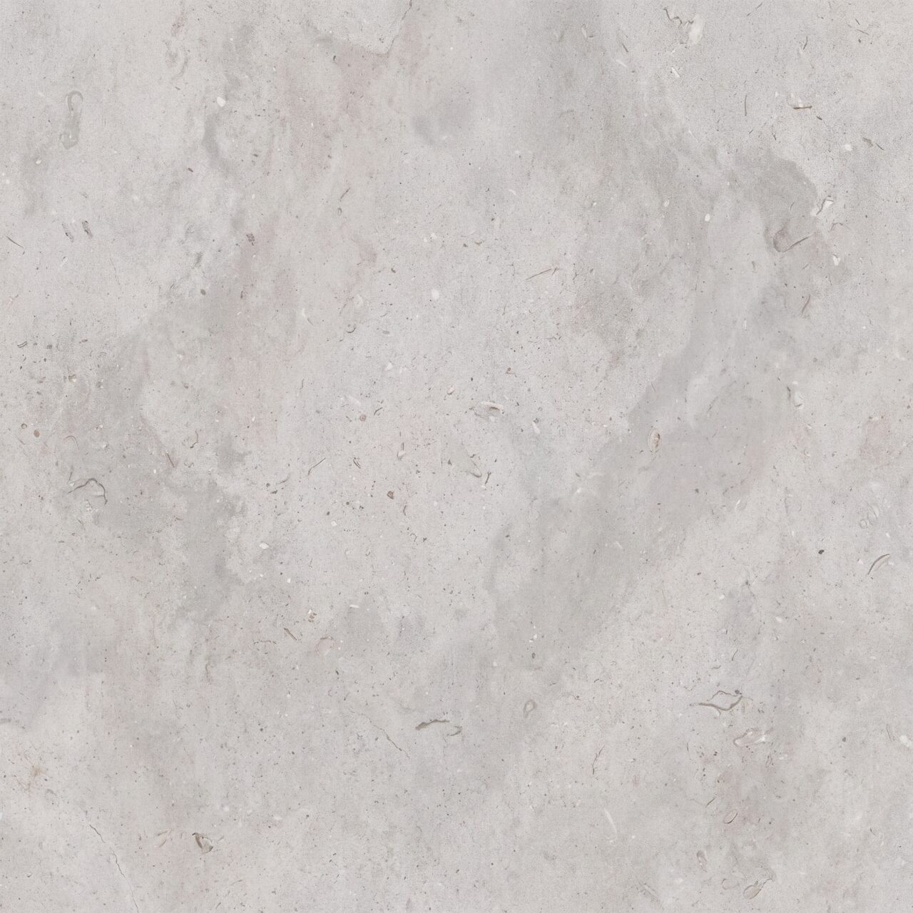 Light Grey Limestone Texture 012