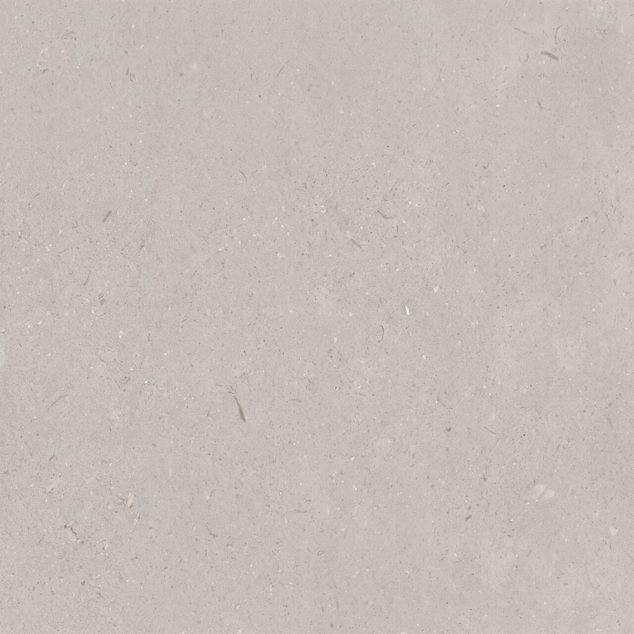 Light Grey Limestone Texture 014
