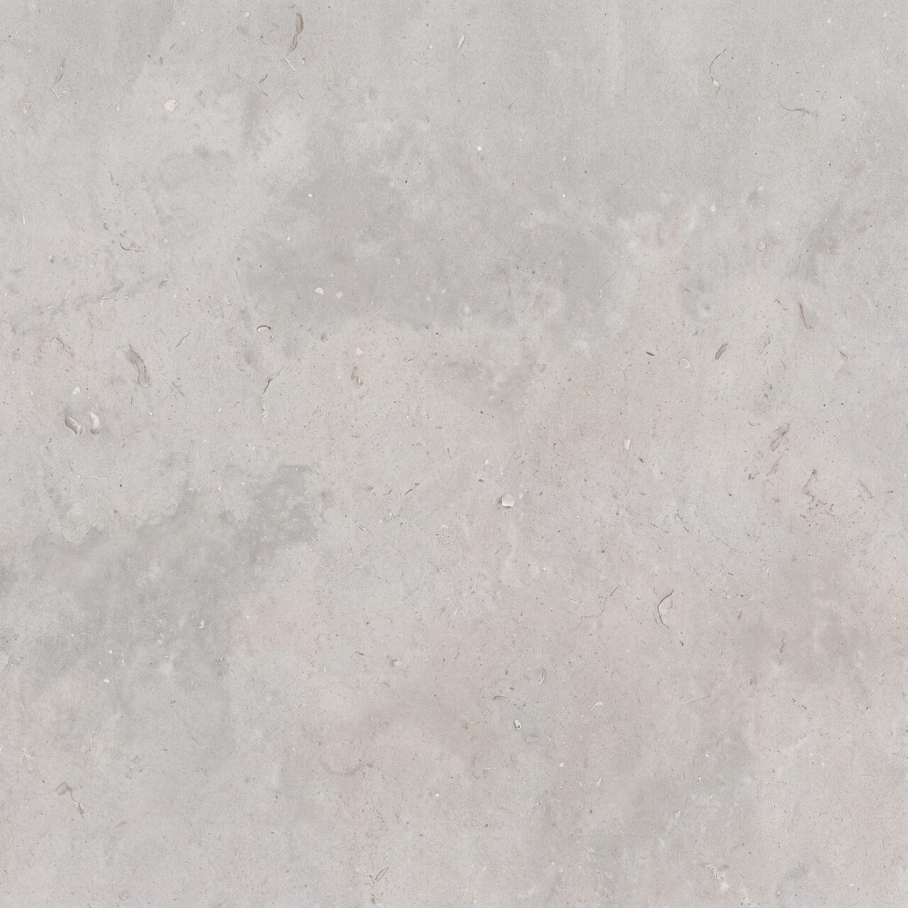 Light Grey Limestone Texture 015