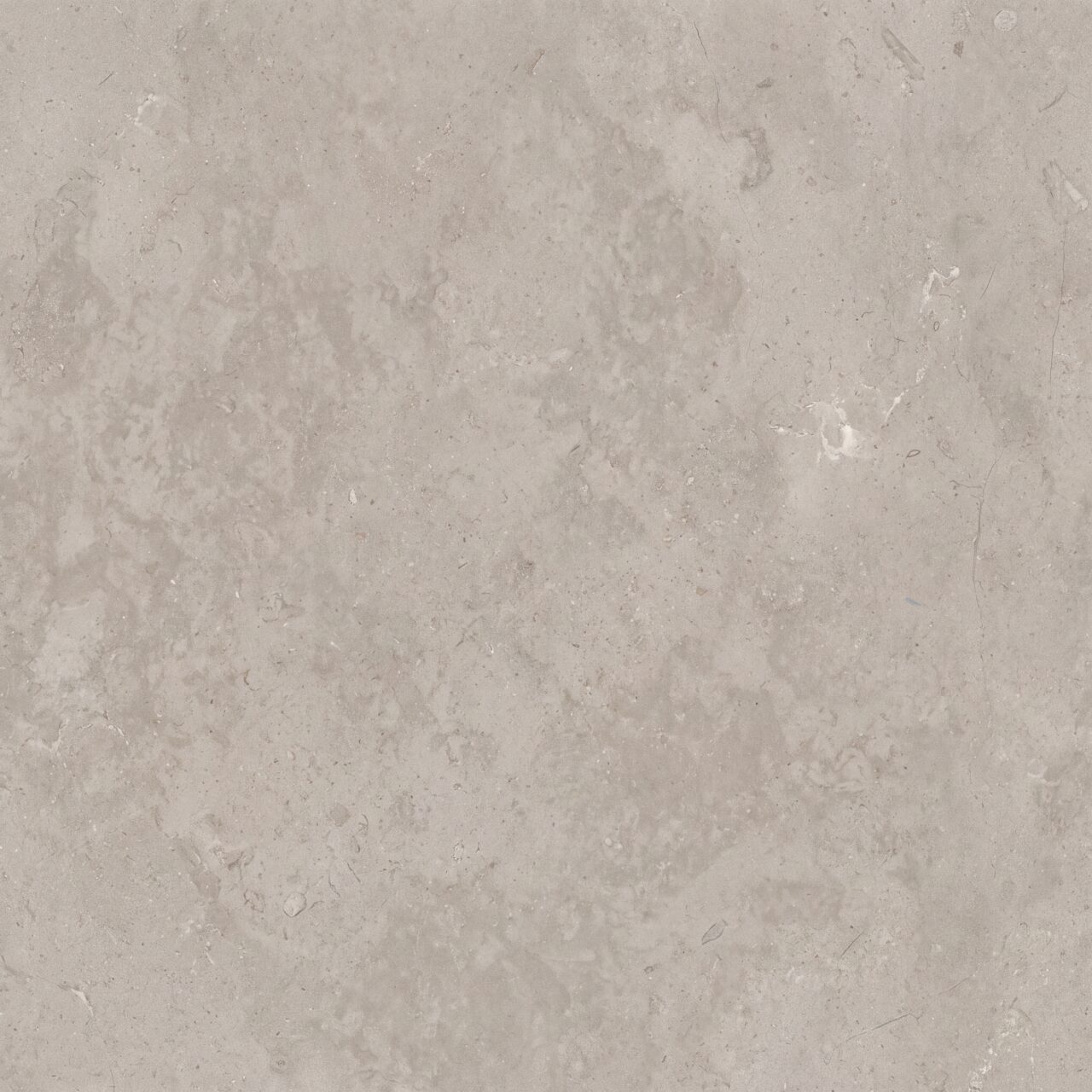 Light Grey Limestone Texture 017