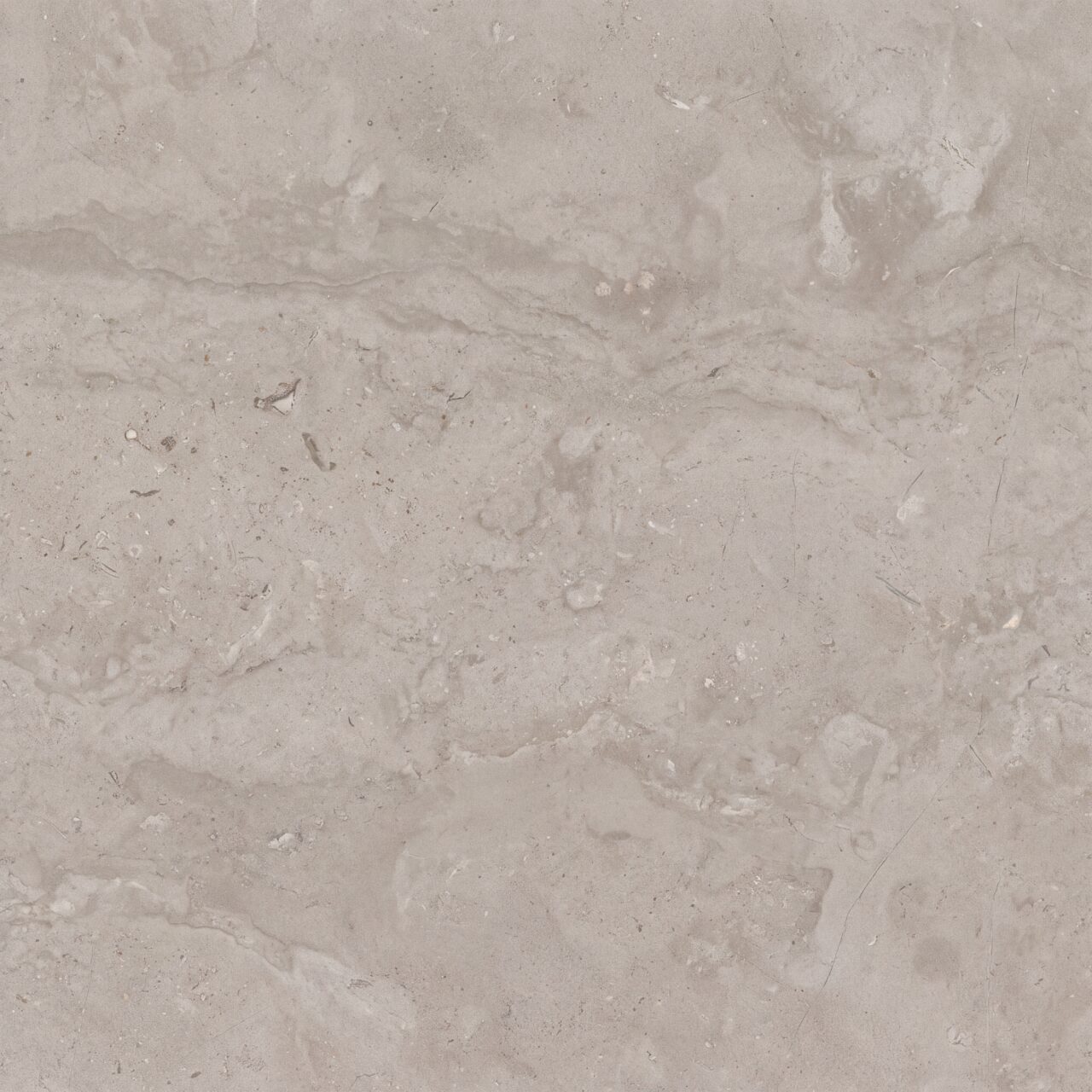 Light Grey Limestone Texture 019