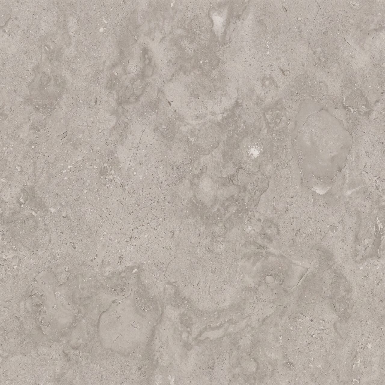 Light Grey Limestone Texture 020