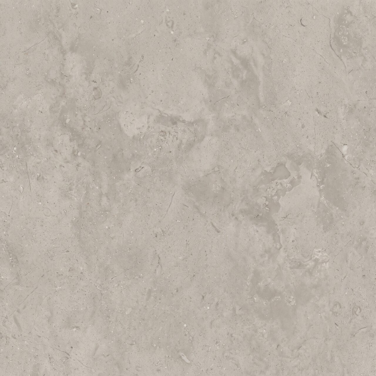 Light Grey Limestone Texture 021