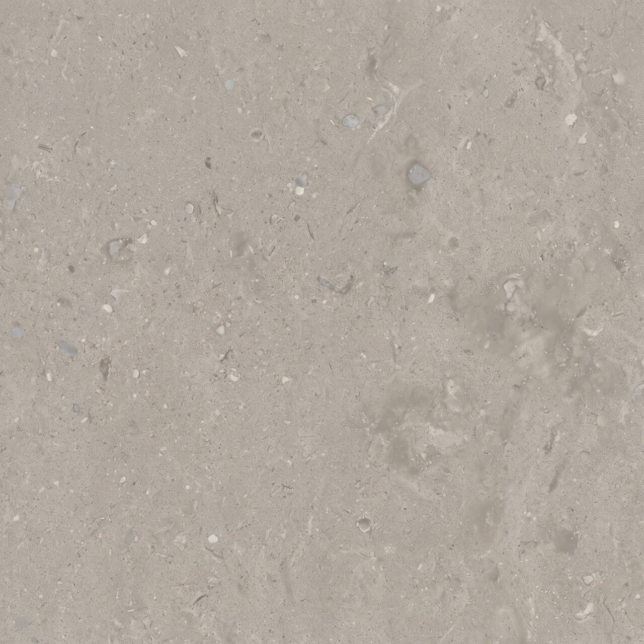 Light Grey Limestone Texture 023