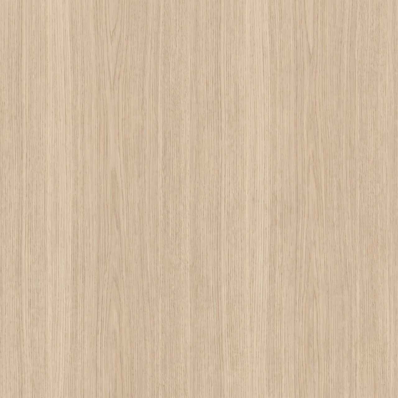 Light Oak Wood Texture 001
