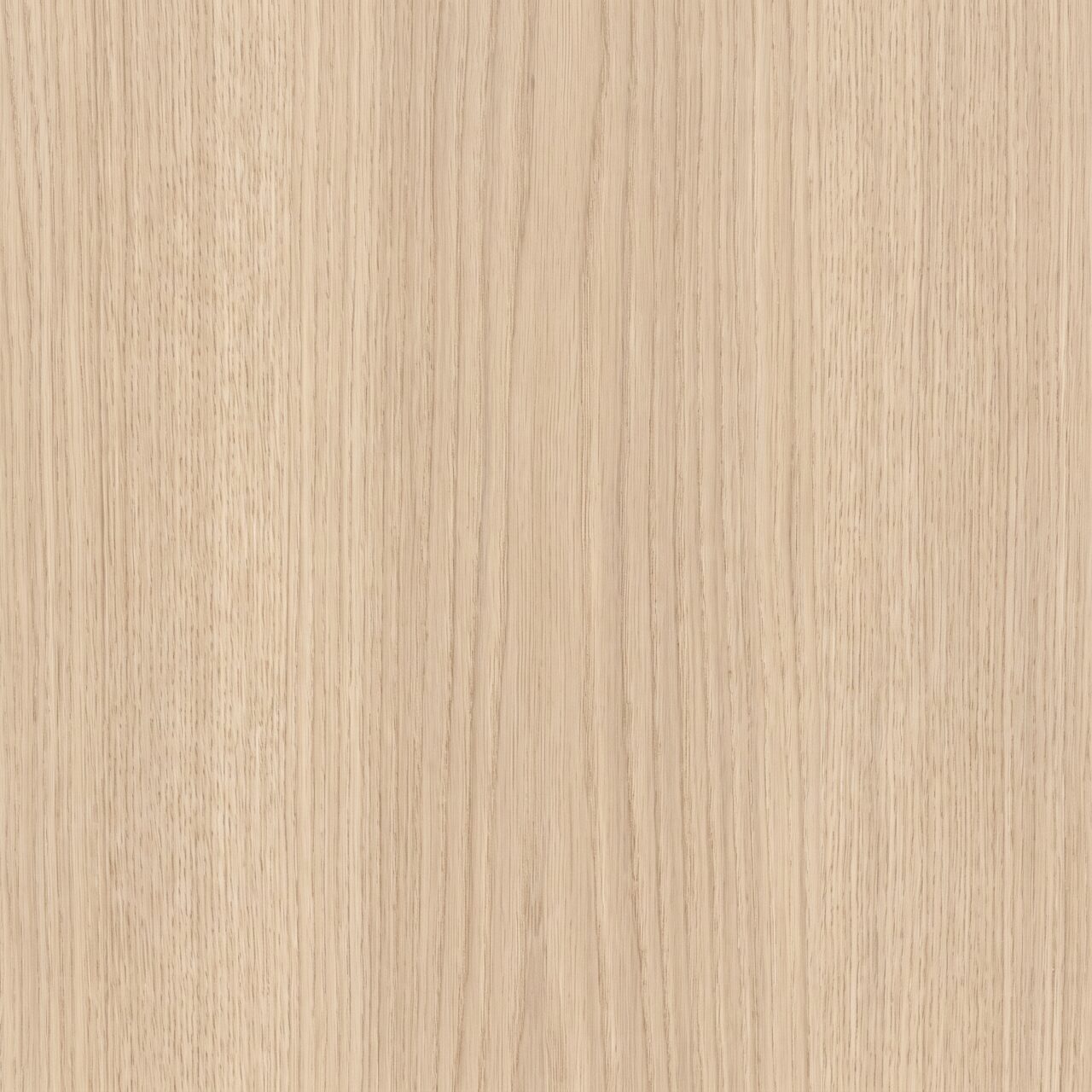 Light Oak Wood Texture 003