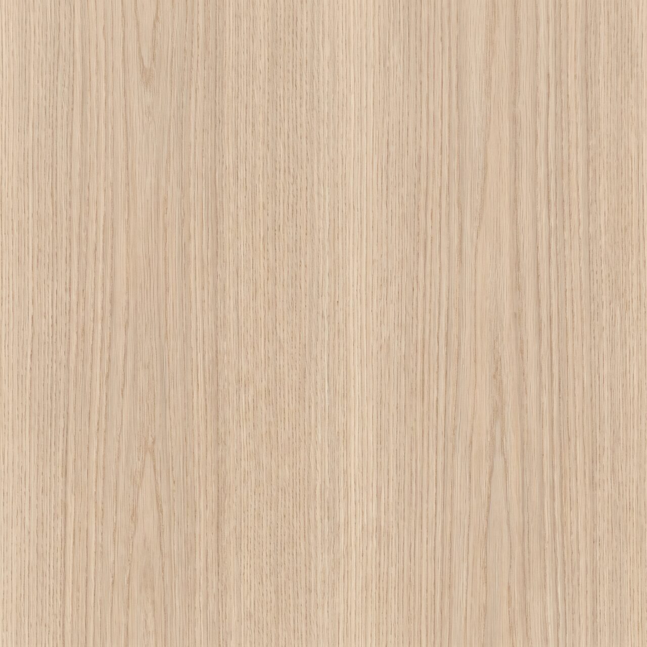 Light Oak Wood Texture 005