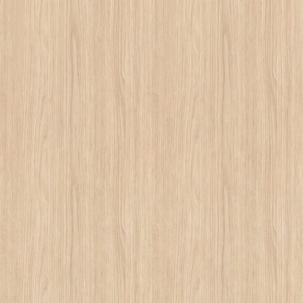 Light Oak Wood Texture 006