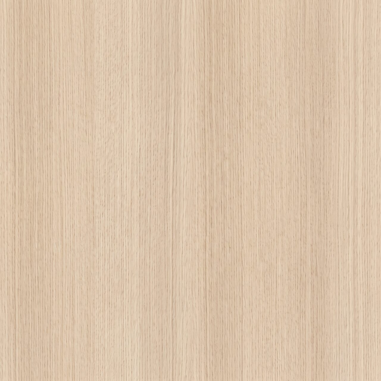 Light Oak Wood Texture 007