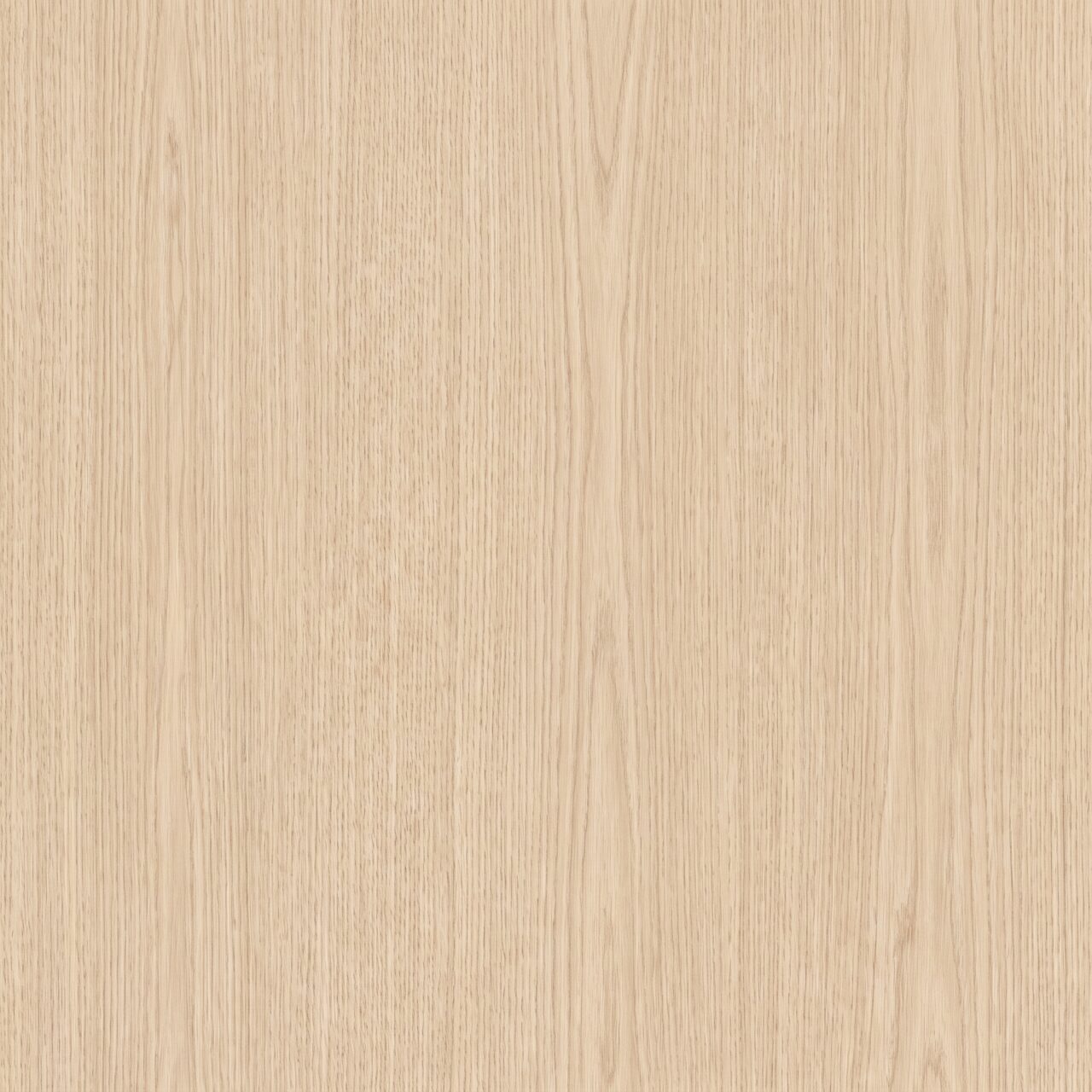 Light Oak Wood Texture 008
