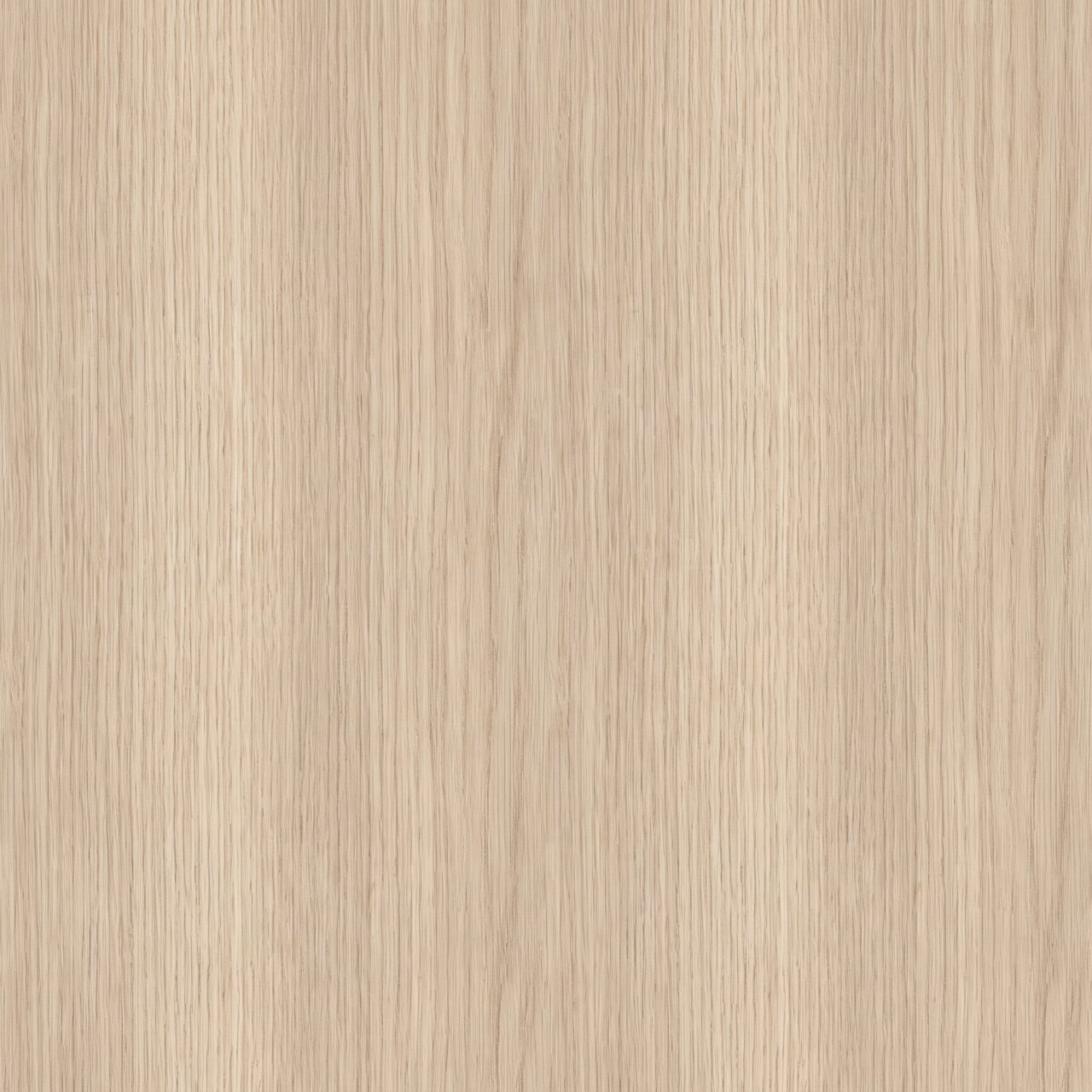 Light Oak Wood Texture 010