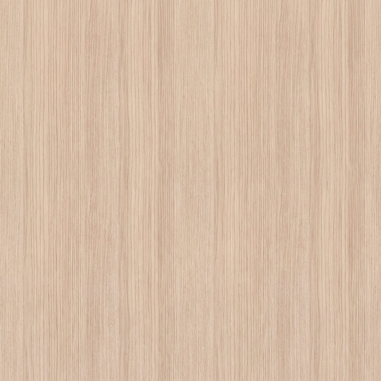 Light Oak Wood Texture 011