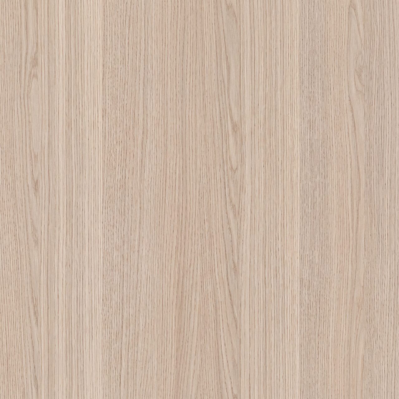 Light Oak Wood Texture 014