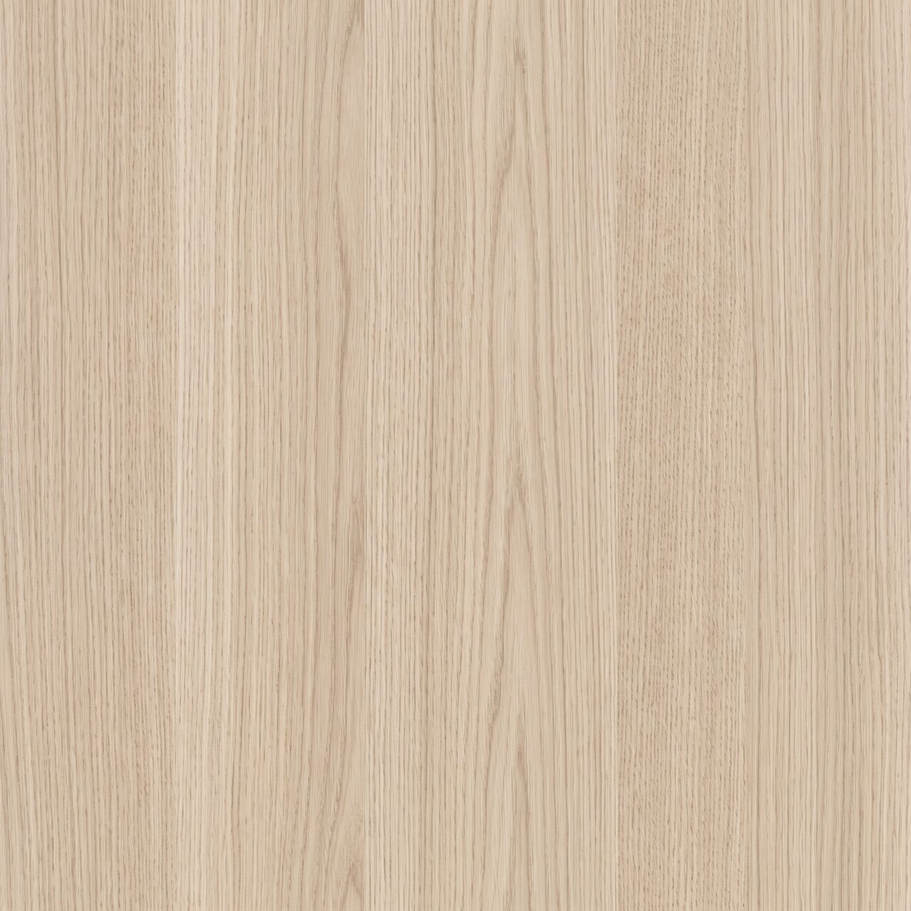 Light Oak Wood Texture 016