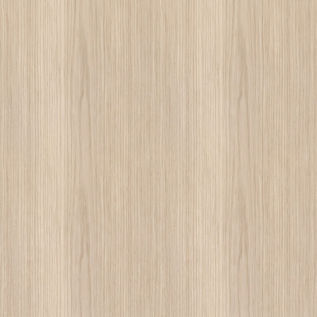 Light Oak Wood Texture 018