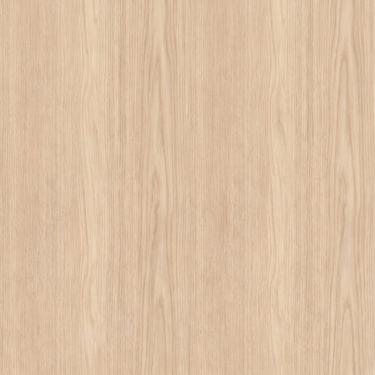 Light Oak Wood Texture 019
