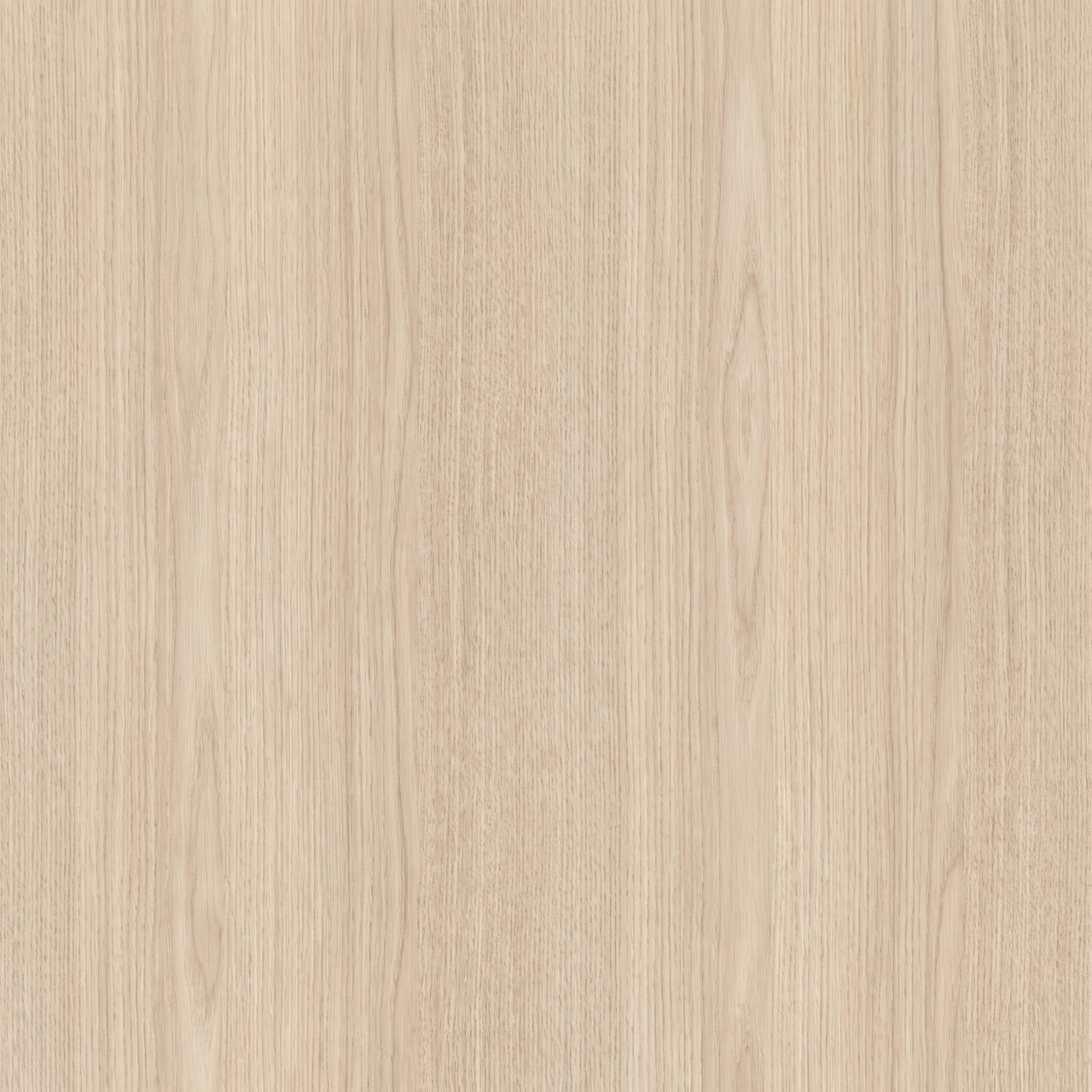 Light Oak Wood Texture 020