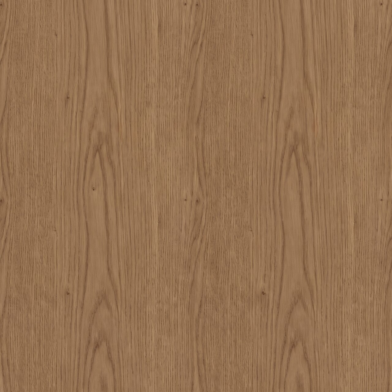 Natural Brown Oak Wood Texture 003