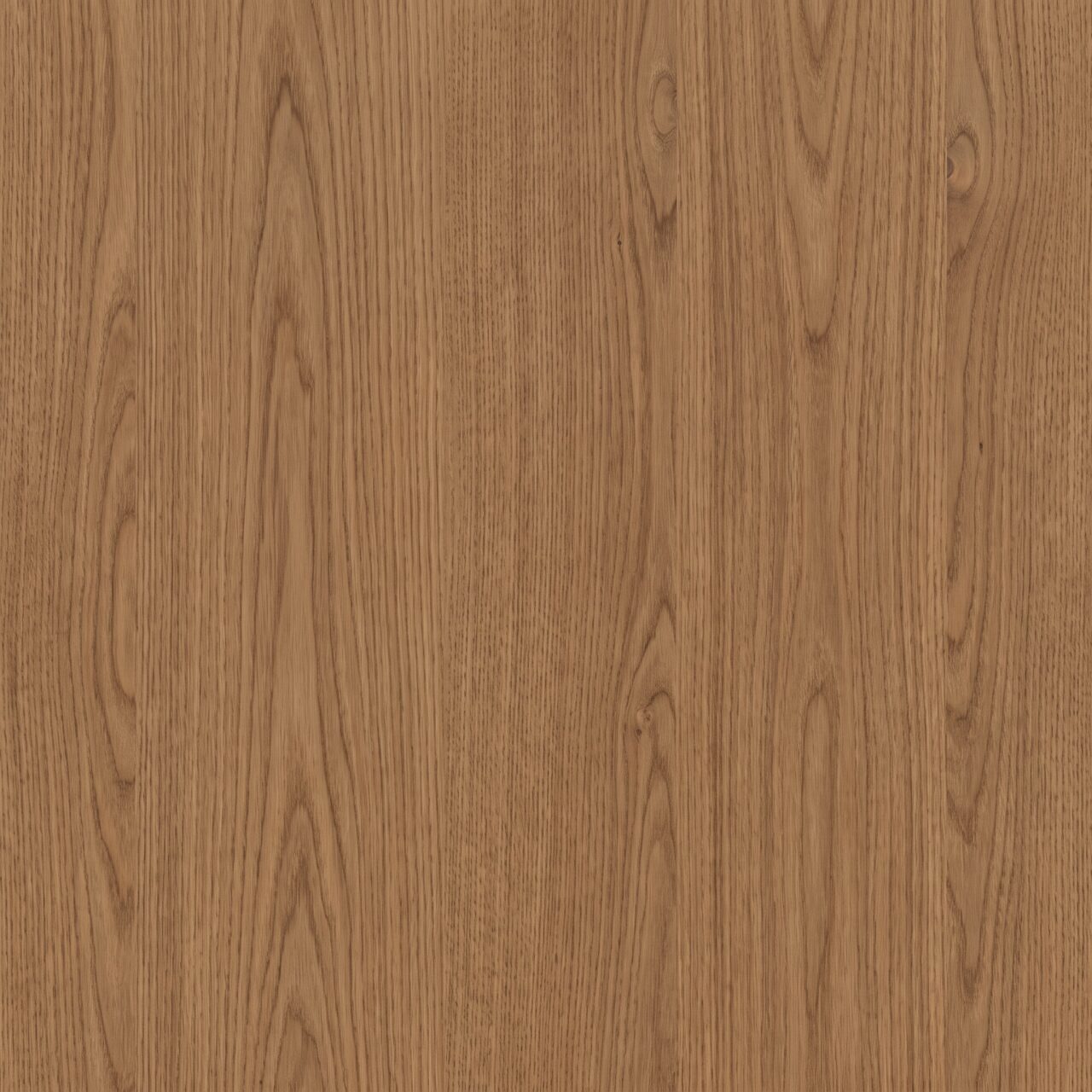 Natural Brown Oak Wood Texture 004