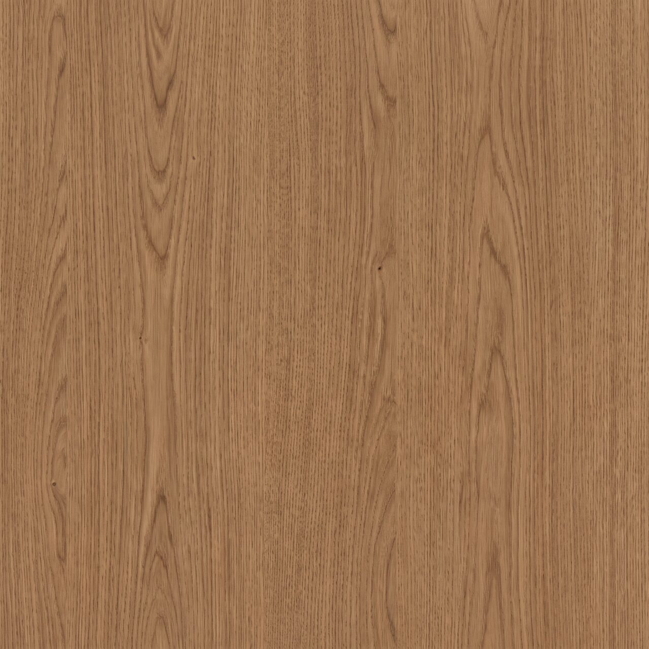 Natural Brown Oak Wood Texture 005