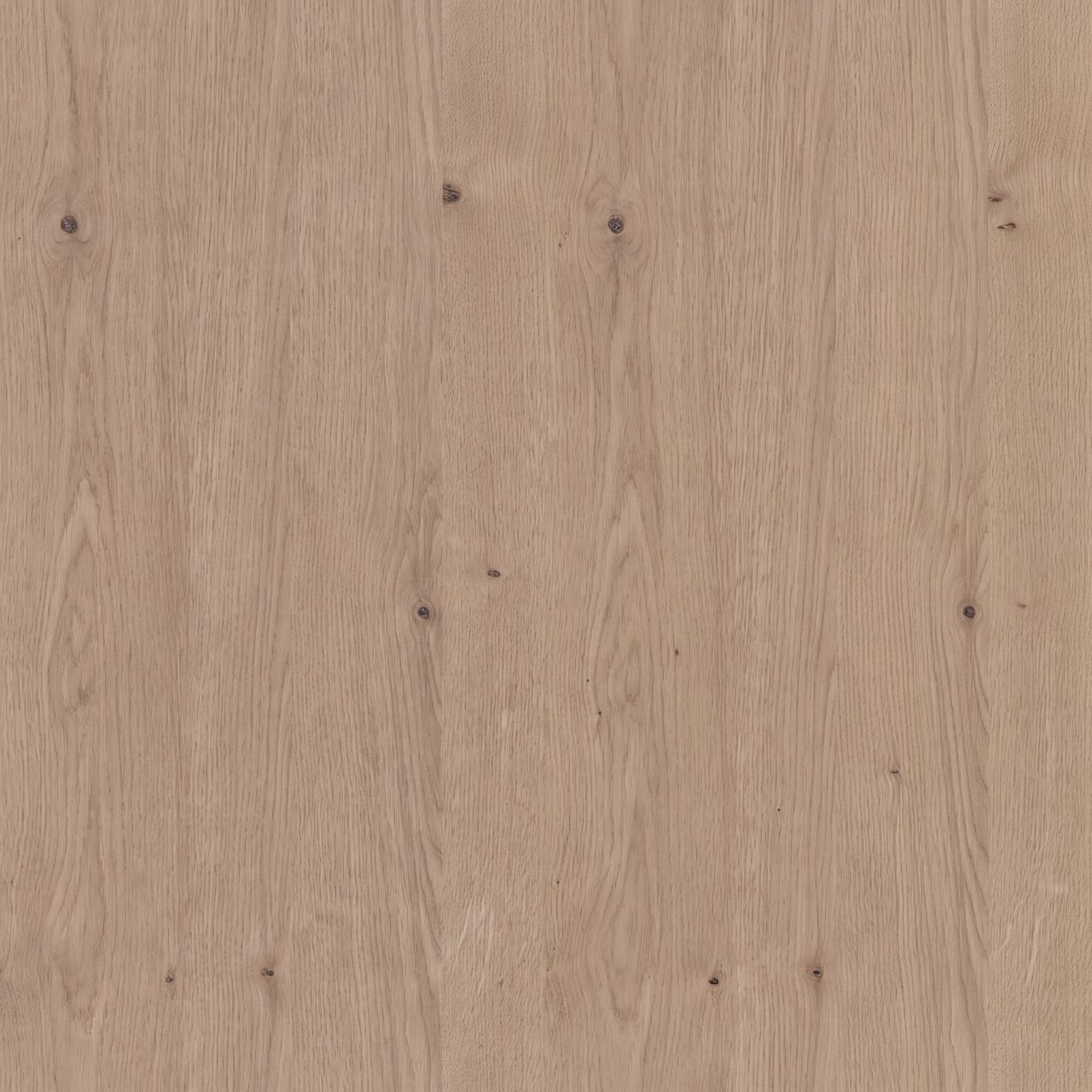 Natural Taupe Oak Wood Texture 002
