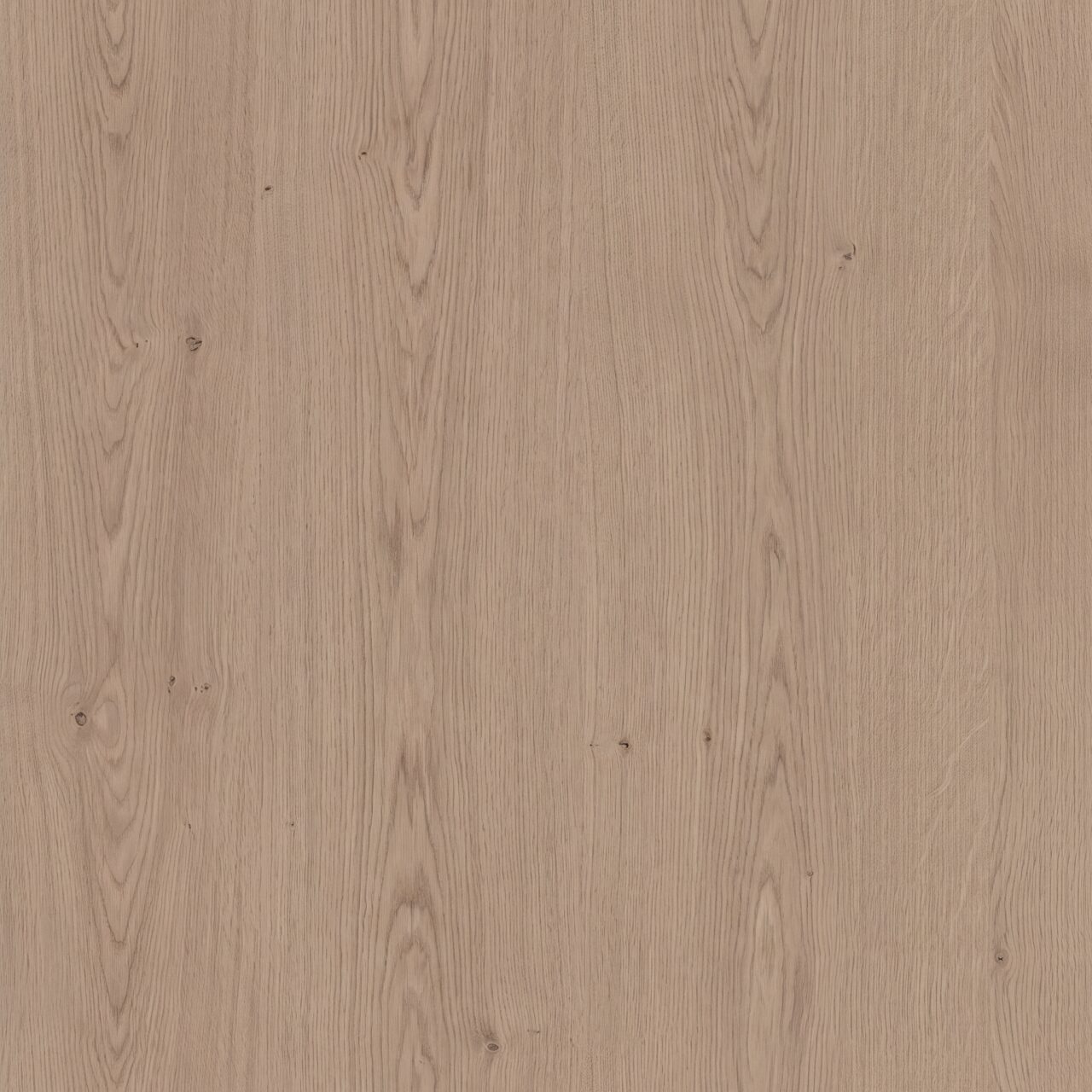 Natural Taupe Oak Wood Texture 003