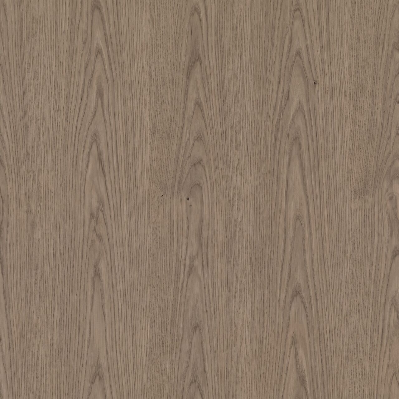 Natural Taupe Oak Wood Texture 006