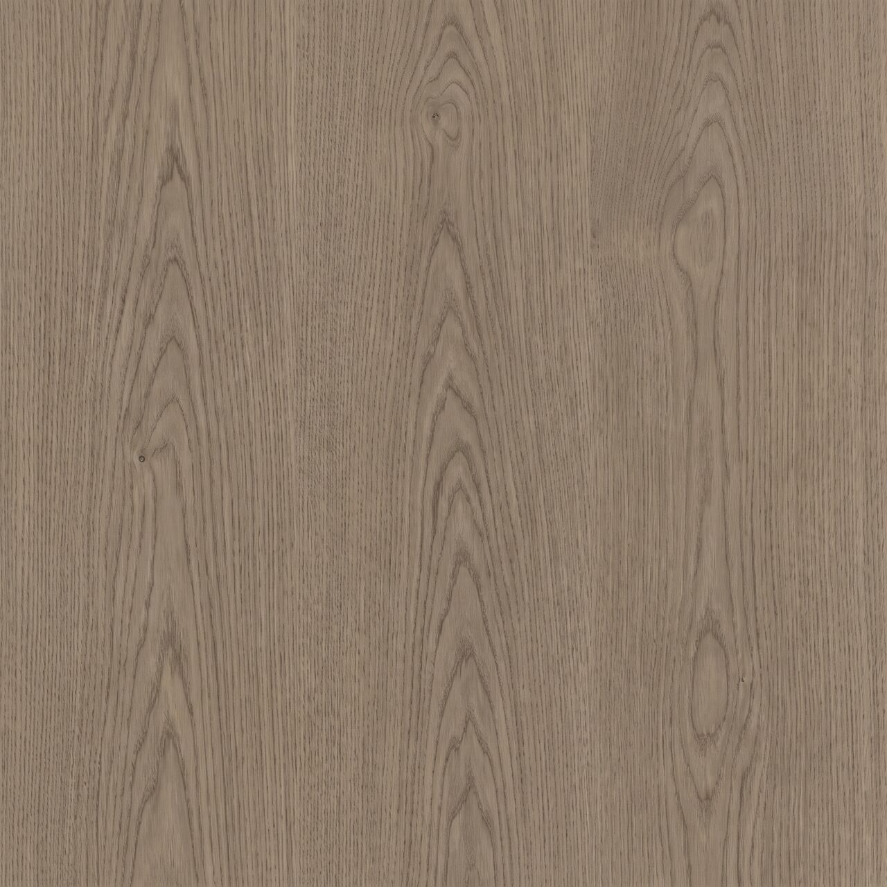 Natural Taupe Oak Wood Texture 007