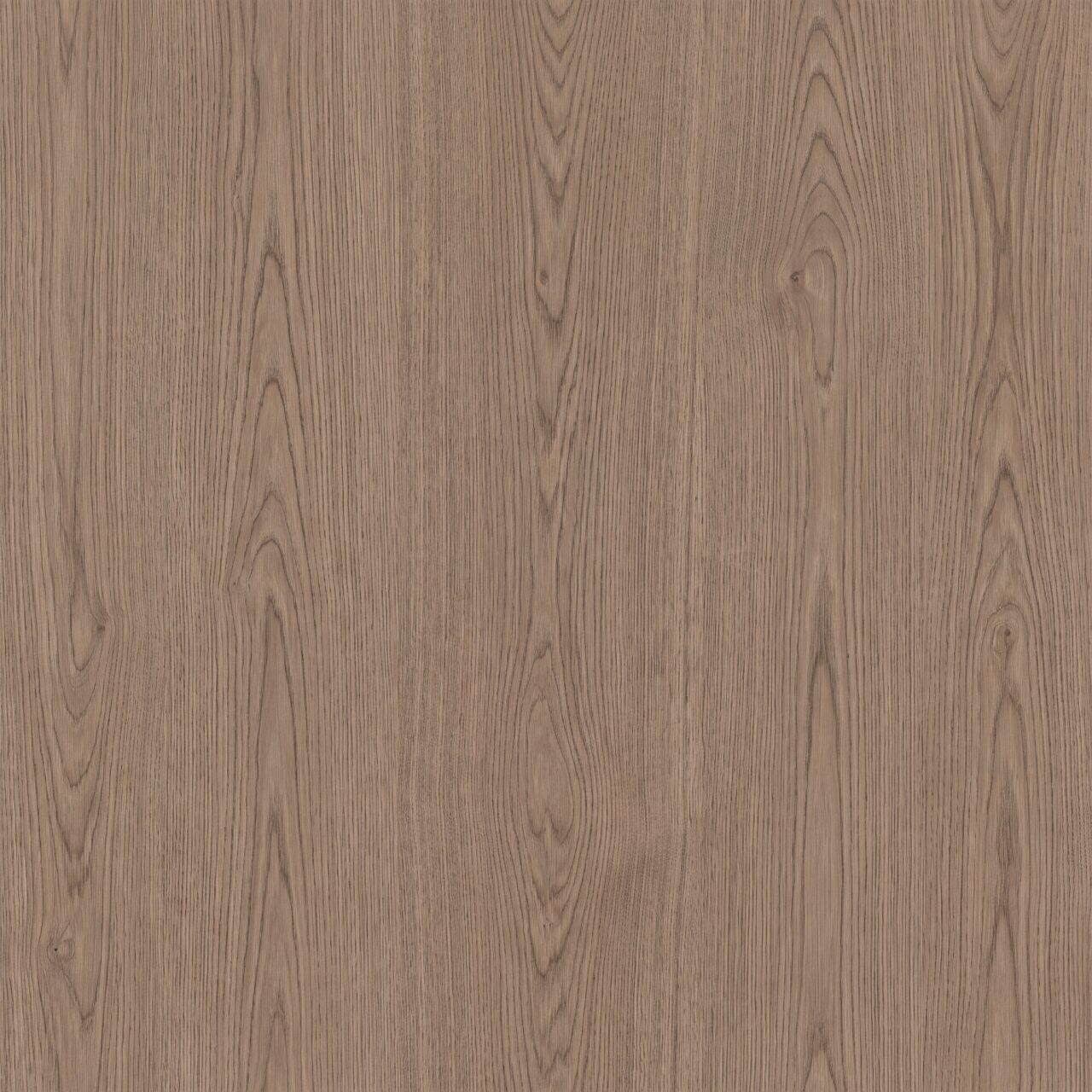 Natural Taupe Oak Wood Texture 013