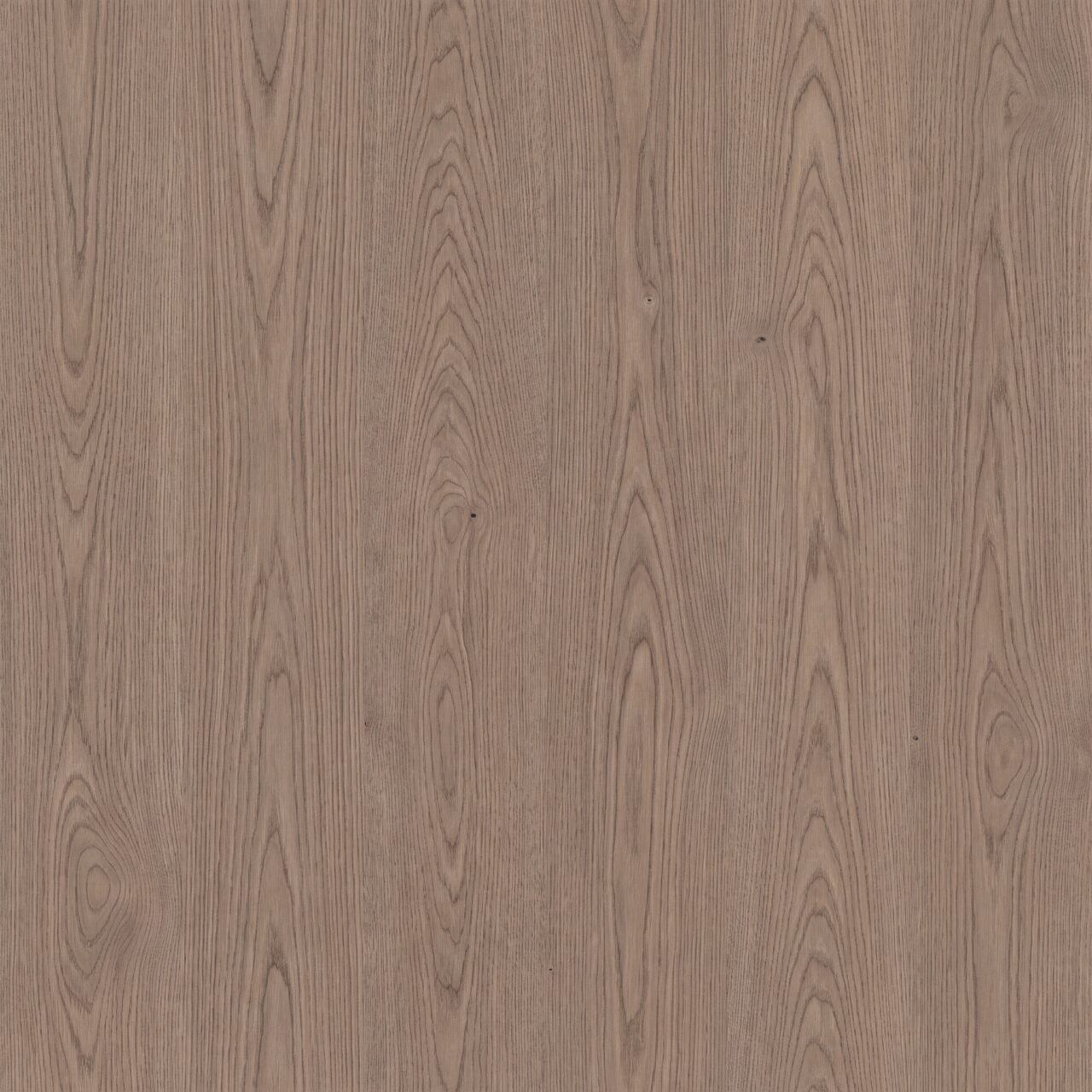 Natural Taupe Oak Wood Texture 015