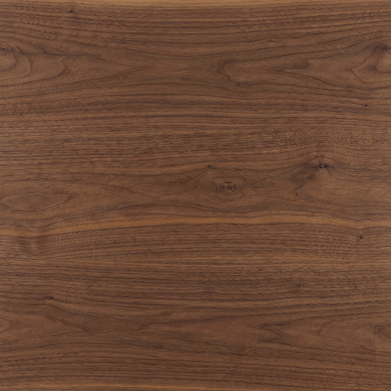 Natural Walnut Wood Texture 004